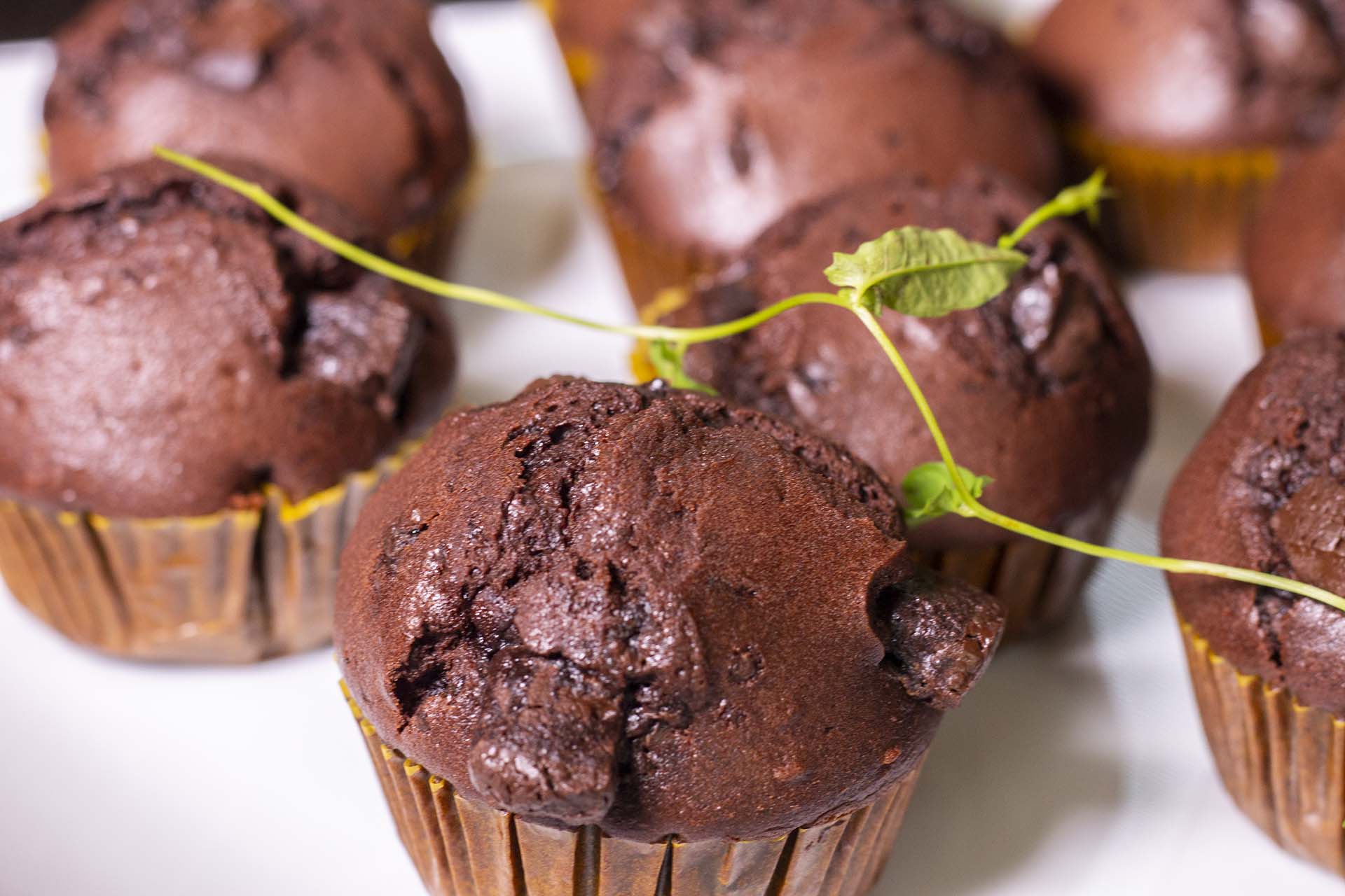 Double Chocoalte Muffins