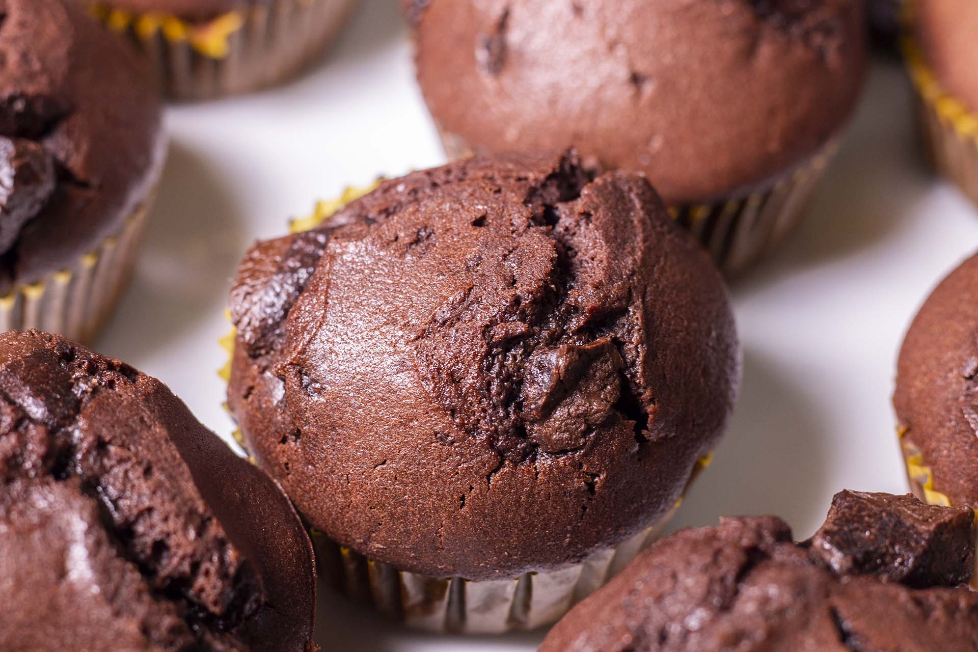 Double Chocoalte Muffins