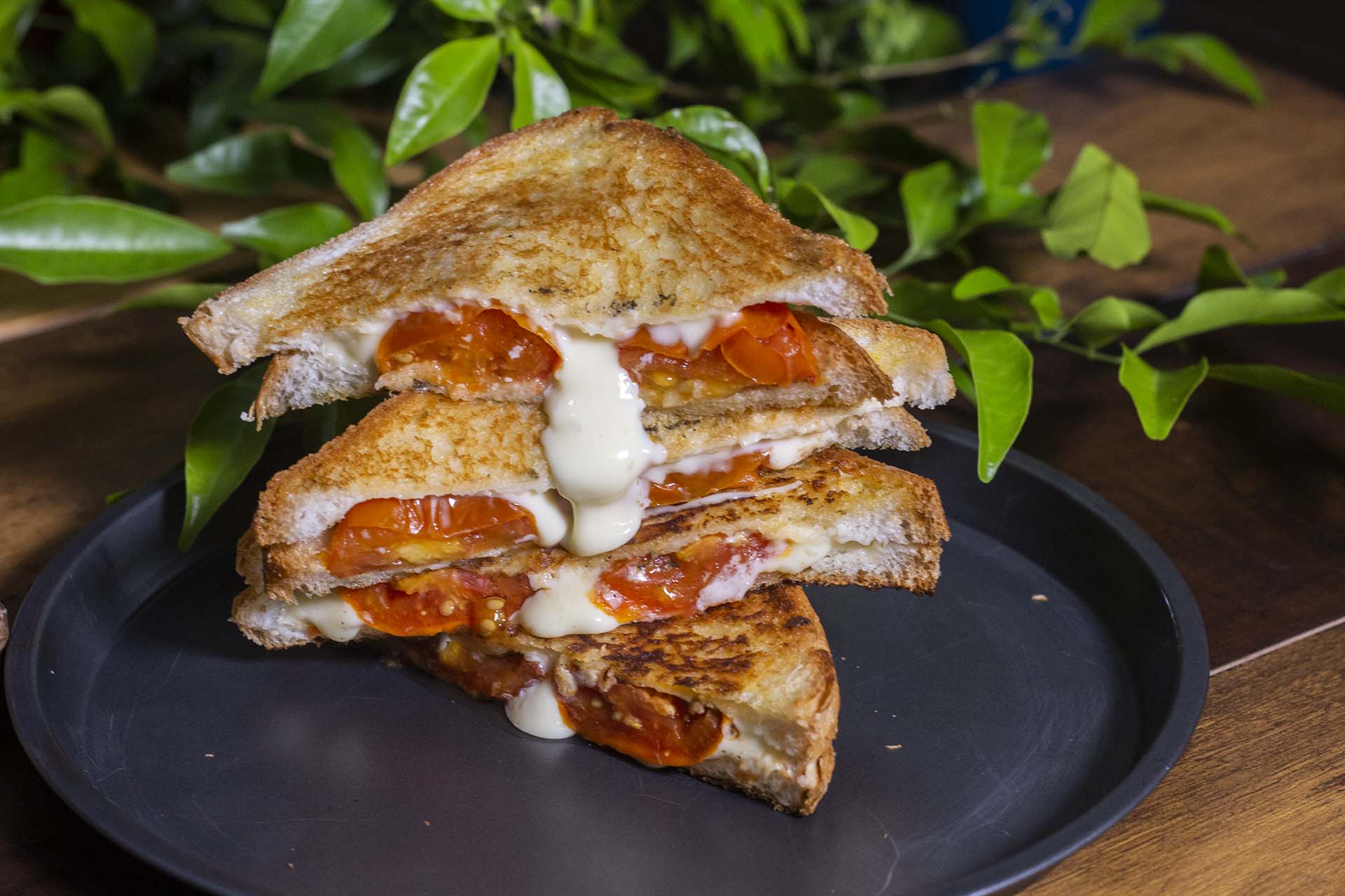 Roasted Tomato Grilled Cheese Sandwich