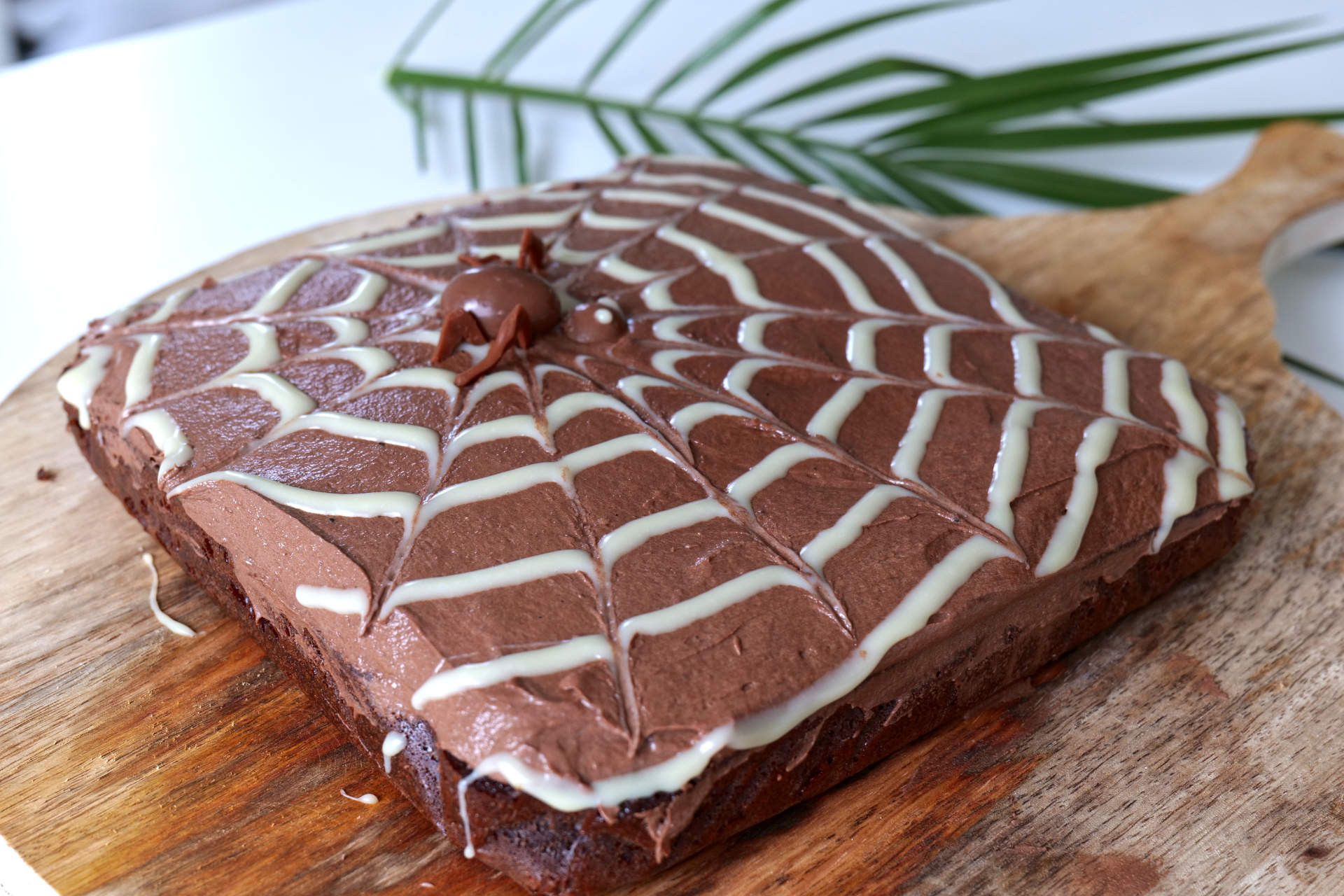 Halloween Spider Web Cake