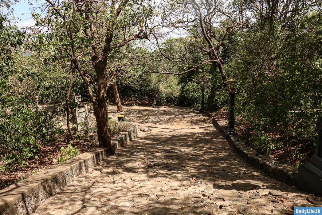 Path to Dambulla Rock Temple